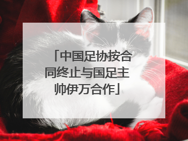 中国足协按合同终止与国足主帅伊万合作