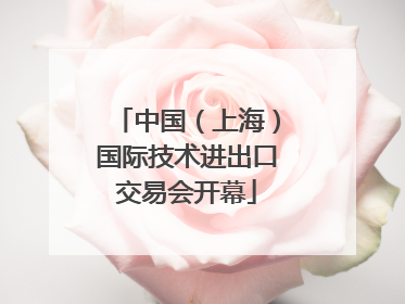 中国（上海）国际技术进出口交易会开幕