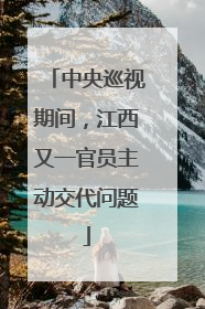 中央巡视期间，江西又一官员主动交代问题