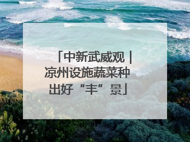 中新武威观｜凉州设施蔬菜种出好“丰”景