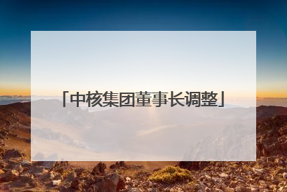 中核集团董事长调整