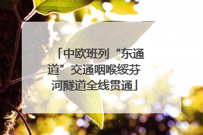 中欧班列“东通道”交通咽喉绥芬河隧道全线贯通