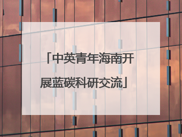 中英青年海南开展蓝碳科研交流