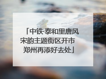中铁·泰和里唐风宋韵主题街区开市 郑州再添好去处