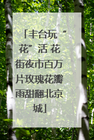 丰台玩“花”活 花街夜市百万片玫瑰花瓣雨甜翻北京城