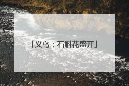 义乌：石斛花盛开