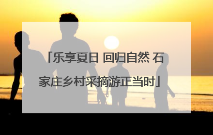 乐享夏日 回归自然 石家庄乡村采摘游正当时