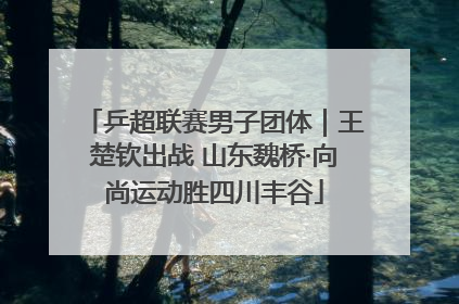 乒超联赛男子团体｜王楚钦出战 山东魏桥·向尚运动胜四川丰谷
