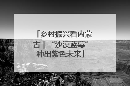 乡村振兴看内蒙古｜“沙漠蓝莓”种出紫色未来