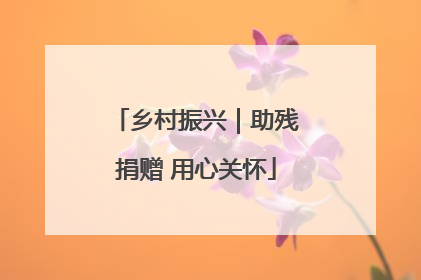 乡村振兴｜助残捐赠 用心关怀