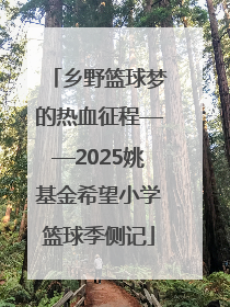 乡野篮球梦的热血征程——2025姚基金希望小学篮球季侧记