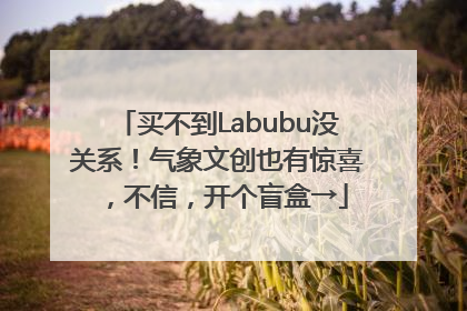 买不到Labubu没关系！气象文创也有惊喜，不信，开个盲盒→