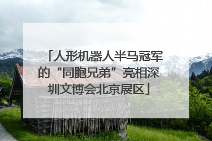 人形机器人半马冠军的“同胞兄弟”亮相深圳文博会北京展区