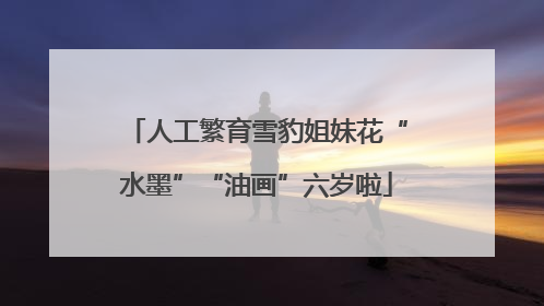 人工繁育雪豹姐妹花“水墨”“油画”六岁啦