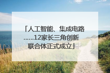 人工智能、集成电路……12家长三角创新联合体正式成立
