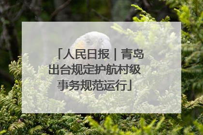 人民日报｜青岛出台规定护航村级事务规范运行
