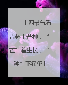 二十四节气看吉林丨芒种：“芒”着生长，“种”下希望