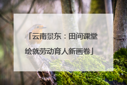 云南景东：田间课堂绘就劳动育人新画卷