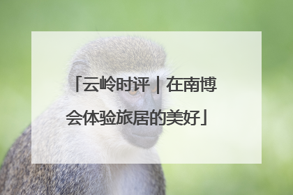 云岭时评｜在南博会体验旅居的美好