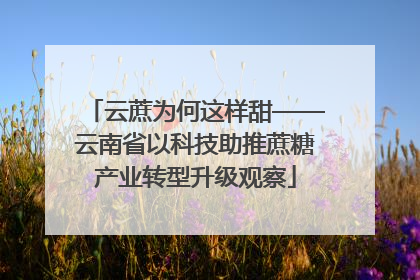 云蔗为何这样甜——云南省以科技助推蔗糖产业转型升级观察