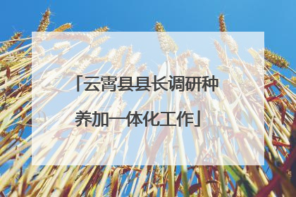 云霄县县长调研种养加一体化工作