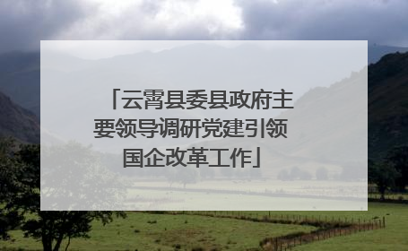云霄县委县政府主要领导调研党建引领国企改革工作
