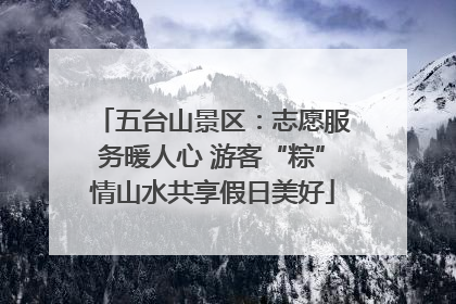 五台山景区：志愿服务暖人心 游客“粽”情山水共享假日美好