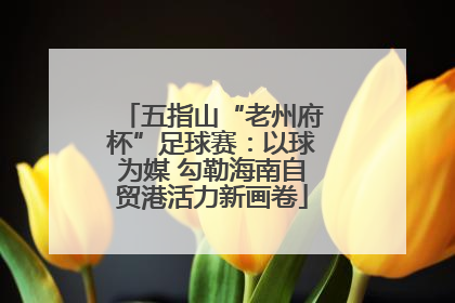 五指山“老州府杯”足球赛：以球为媒 勾勒海南自贸港活力新画卷