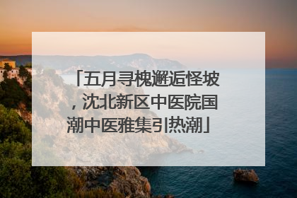 五月寻槐邂逅怪坡，沈北新区中医院国潮中医雅集引热潮