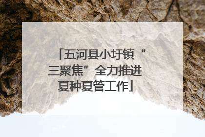五河县小圩镇“三聚焦”全力推进夏种夏管工作