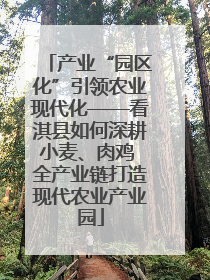 产业“园区化”引领农业现代化——看淇县如何深耕小麦、肉鸡 全产业链打造现代农业产业园