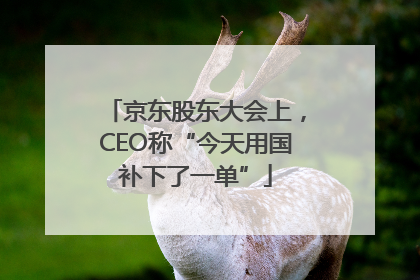 京东股东大会上，CEO称“今天用国补下了一单”