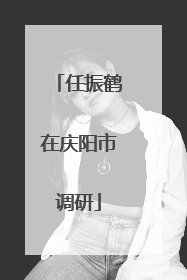 任振鹤在庆阳市调研