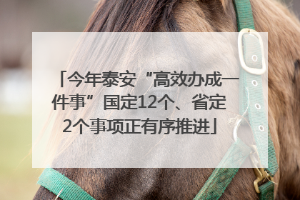 今年泰安“高效办成一件事”国定12个、省定2个事项正有序推进