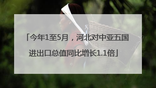 今年1至5月，河北对中亚五国进出口总值同比增长1.1倍