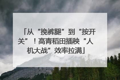 从“挽裤腿”到“按开关”！高青稻田插秧“人机大战”效率拉满