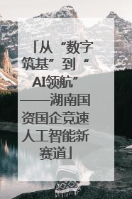 从“数字筑基”到“AI领航”——湖南国资国企竞速人工智能新赛道