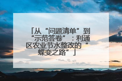 从“问题清单”到“示范答卷”：利通区农业节水整改的“蝶变之路”