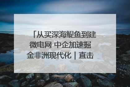 从买深海鳀鱼到建微电网 中企加速掘金非洲现代化｜直击中非经贸博览会