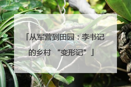 从军营到田园：李书记的乡村 “变形记”