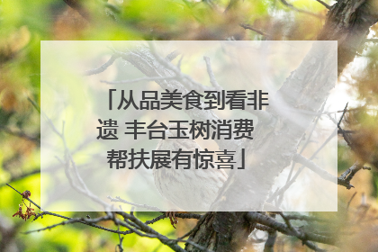 从品美食到看非遗 丰台玉树消费帮扶展有惊喜