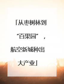 从枣树林到“百果园”，航空新城种出大产业