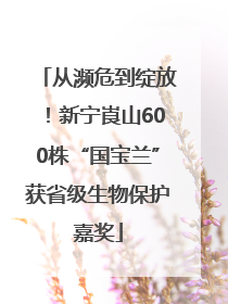 从濒危到绽放！新宁崀山600株“国宝兰”获省级生物保护嘉奖