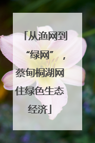 从渔网到“绿网”，蔡甸桐湖网住绿色生态经济