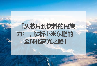 从芯片到饮料的民族力量，解析小米东鹏的全球化高光之路