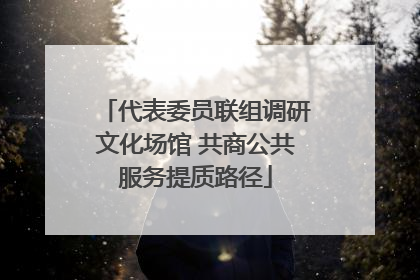 代表委员联组调研文化场馆 共商公共服务提质路径