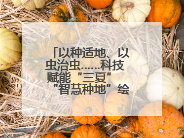 以种适地、以虫治虫……科技赋能“三夏” “智慧种地”绘就好“丰”景