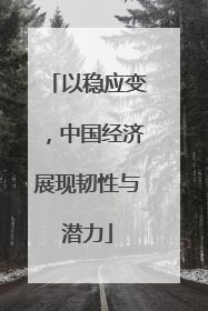 以稳应变，中国经济展现韧性与潜力