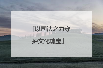 以司法之力守护文化瑰宝