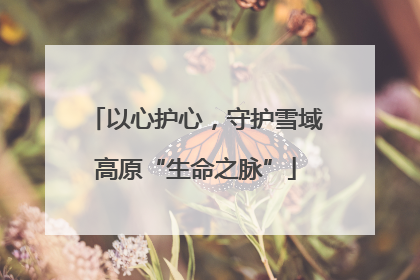 以心护心，守护雪域高原“生命之脉”